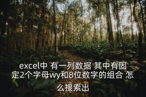 wy8，excel中 有一列數據 其中有固定2個字母wy和8位數字的組合 怎么搜索出