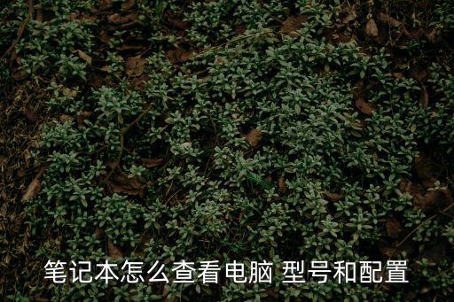 筆記本電腦型號(hào),怎么買(mǎi)筆記本?可以這樣做!