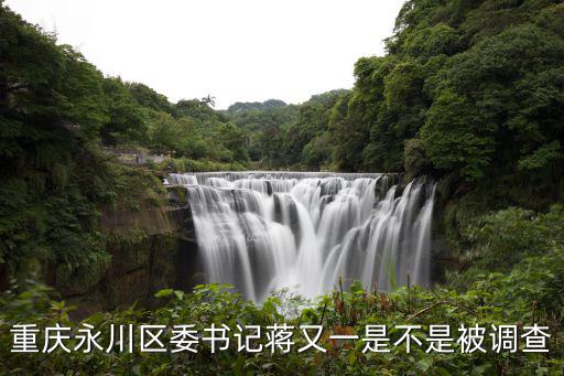 重慶永川區委書記蔣又一是不是被調查