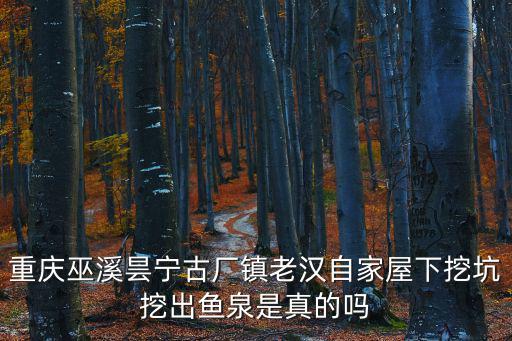 重慶巫溪曇寧古廠鎮(zhèn)老漢自家屋下挖坑挖出魚泉是真的嗎