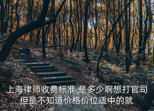 上海律師收費標準 是多少啊想打官司但是不知道價格價位適中的就