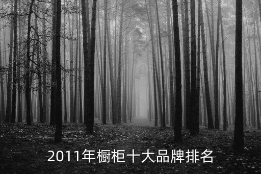 2011年櫥柜十大品牌排名