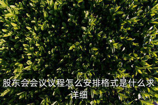 股東會會議議程怎么安排格式是什么求詳細