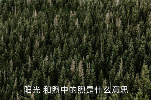 和煦的陽光,暖男，就像大熱天陽光給人溫暖感覺
