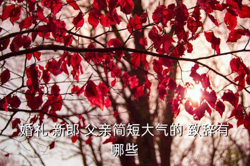 新郎父親致辭,前進黨第二批準候選人包括銀行高管李智陞