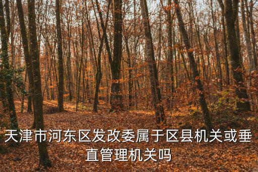 天津市河?xùn)|區(qū)發(fā)改委屬于區(qū)縣機(jī)關(guān)或垂直管理機(jī)關(guān)嗎