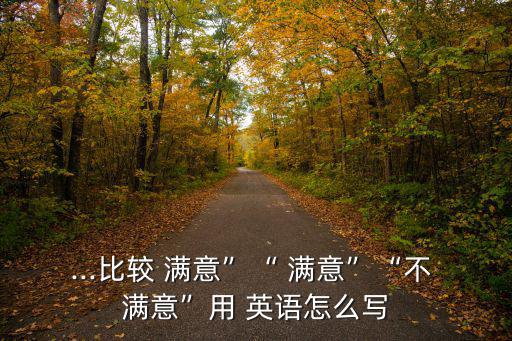 ...比較 滿意”“ 滿意”“不 滿意”用 英語怎么寫