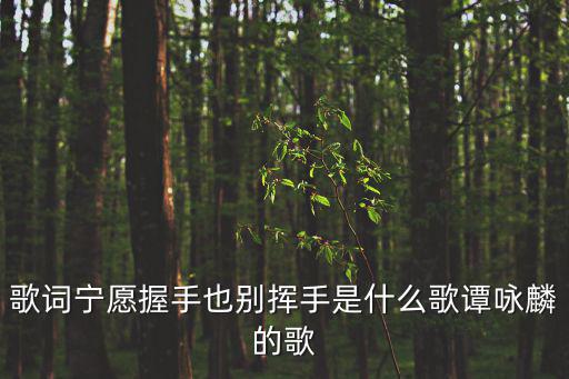 歌詞寧愿握手也別揮手是什么歌譚詠麟的歌