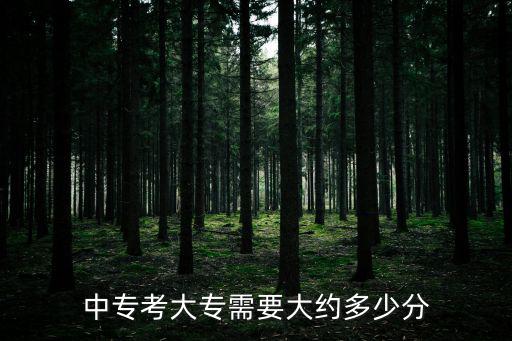 中專考大專需要大約多少分