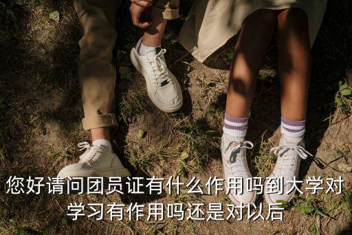 您好請問團員證有什么作用嗎到大學對學習有作用嗎還是對以后