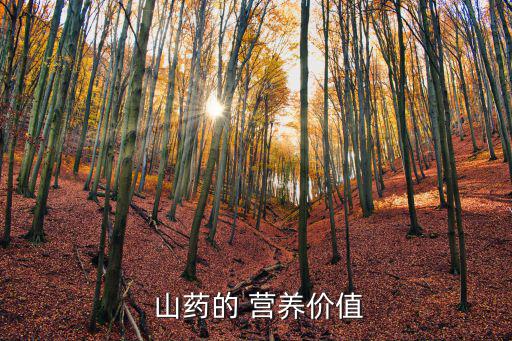 山藥的營養(yǎng)成分表,山藥的營養(yǎng)價值有多高?