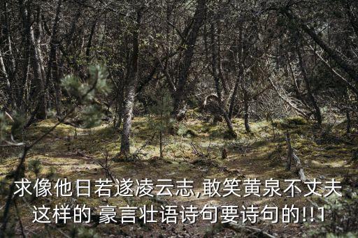 求像他日若遂凌云志,敢笑黃泉不丈夫這樣的 豪言壯語詩句要詩句的!!1
