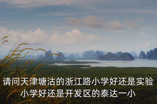 請問天津塘沽的浙江路小學好還是實驗小學好還是開發區的泰達一小