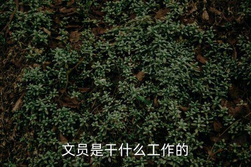 文職是什么工作，文職類工作是做些什么的