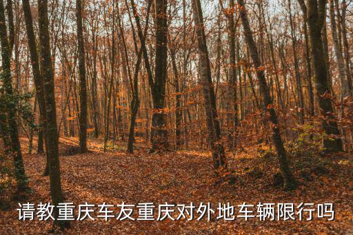 重慶市區渝a限號嗎，請問一下重慶車輛限號嗎外地車