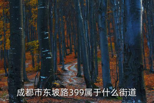 成都市東陂路屬于那個區(qū)，成都武侯區(qū)錦里錦江區(qū)太古里青羊區(qū)寬窄巷子分別歸哪個街道辦事
