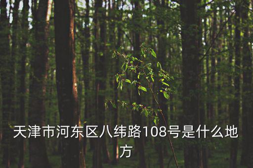 天津市河東區八緯路108號是什么地方