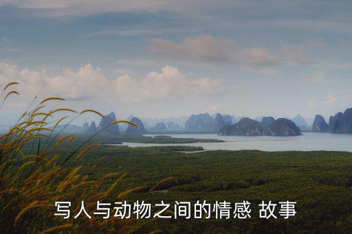 情愛故事,只要妹妹笑了再苦也是值得的故事纖夫之戀