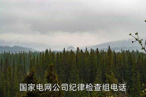 國家電網公司紀律檢查組電話