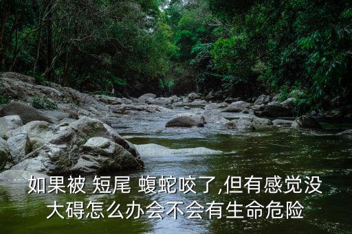 短尾蝮蛇,新生和老生都有毒!長尾蛇危害人類健康!