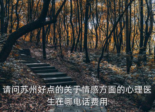 請(qǐng)問蘇州好點(diǎn)的關(guān)于情感方面的心理醫(yī)生在哪電話費(fèi)用