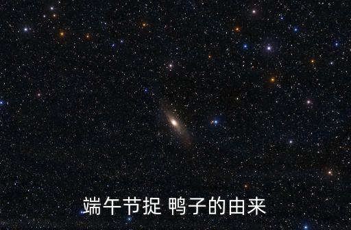 端午節捉 鴨子的由來