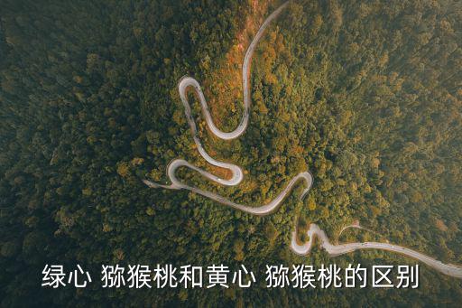 綠心 獼猴桃和黃心 獼猴桃的區(qū)別
