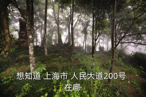 想知道 上海市 人民大道200號(hào) 在哪