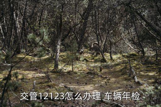 車輛業(yè)務(wù),交管121121怎么辦理?