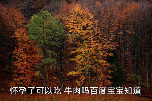 懷孕了可以吃 牛肉嗎百度寶寶知道
