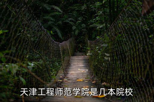 天津工程師范學院是幾本院校