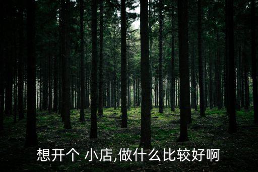 開小店,國人開動漫店創業發揮各方面優勢