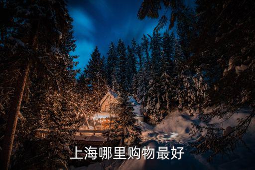上海哪里購物最好