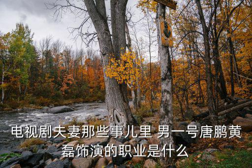 電視劇夫妻那些事兒里 男一號唐鵬黃磊飾演的職業是什么