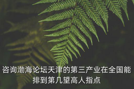 咨詢渤海論壇天津的第三產(chǎn)業(yè)在全國(guó)能排到第幾望高人指點(diǎn)