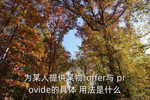 provide的用法,可用providesth為誰準備?