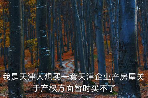 我是天津人想買一套天津企業(yè)產(chǎn)房屋關于產(chǎn)權方面暫時買不了