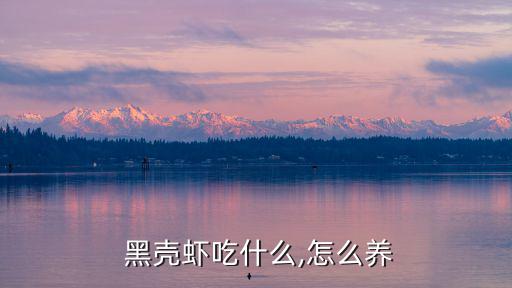  黑殼蝦吃什么,怎么養(yǎng)