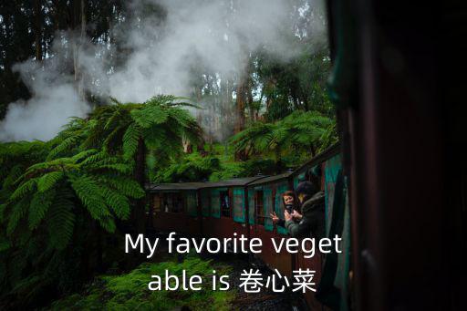 My favorite vegetable is 卷心菜