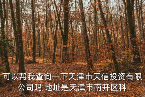 可以幫我查詢一下天津市天信投資有限公司嗎 地址是天津市南開區科