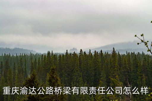 重慶渝達公路橋梁有限責任公司怎么樣