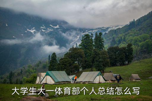 大學生大一體育部個人總結(jié)怎么寫