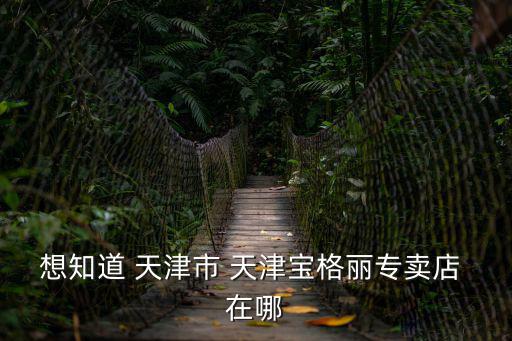 天津市四驅皮卡，天津哪能玩四驅車