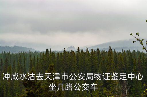 沖咸水沽去天津市公安局物證鑒定中心坐幾路公交車