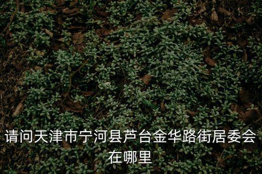 請問天津市寧河縣蘆臺金華路街居委會在哪里