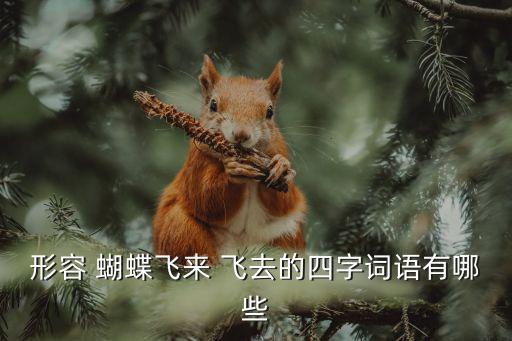 形容 蝴蝶飛來(lái) 飛去的四字詞語(yǔ)有哪些