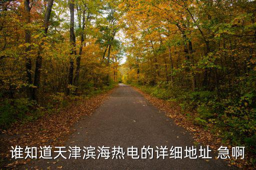 誰知道天津濱海熱電的詳細地址 急啊