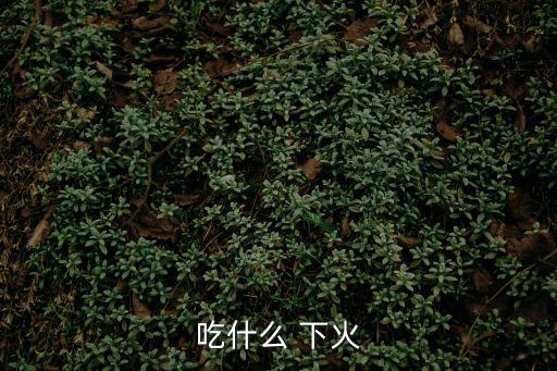 吃什么 下火