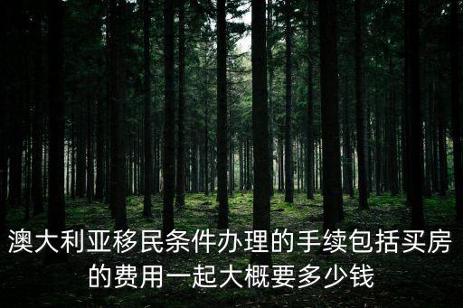 澳大利亞移民條件辦理的手續包括買房的費用一起大概要多少錢