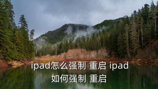  ipad怎么強制 重啟 ipad如何強制 重啟